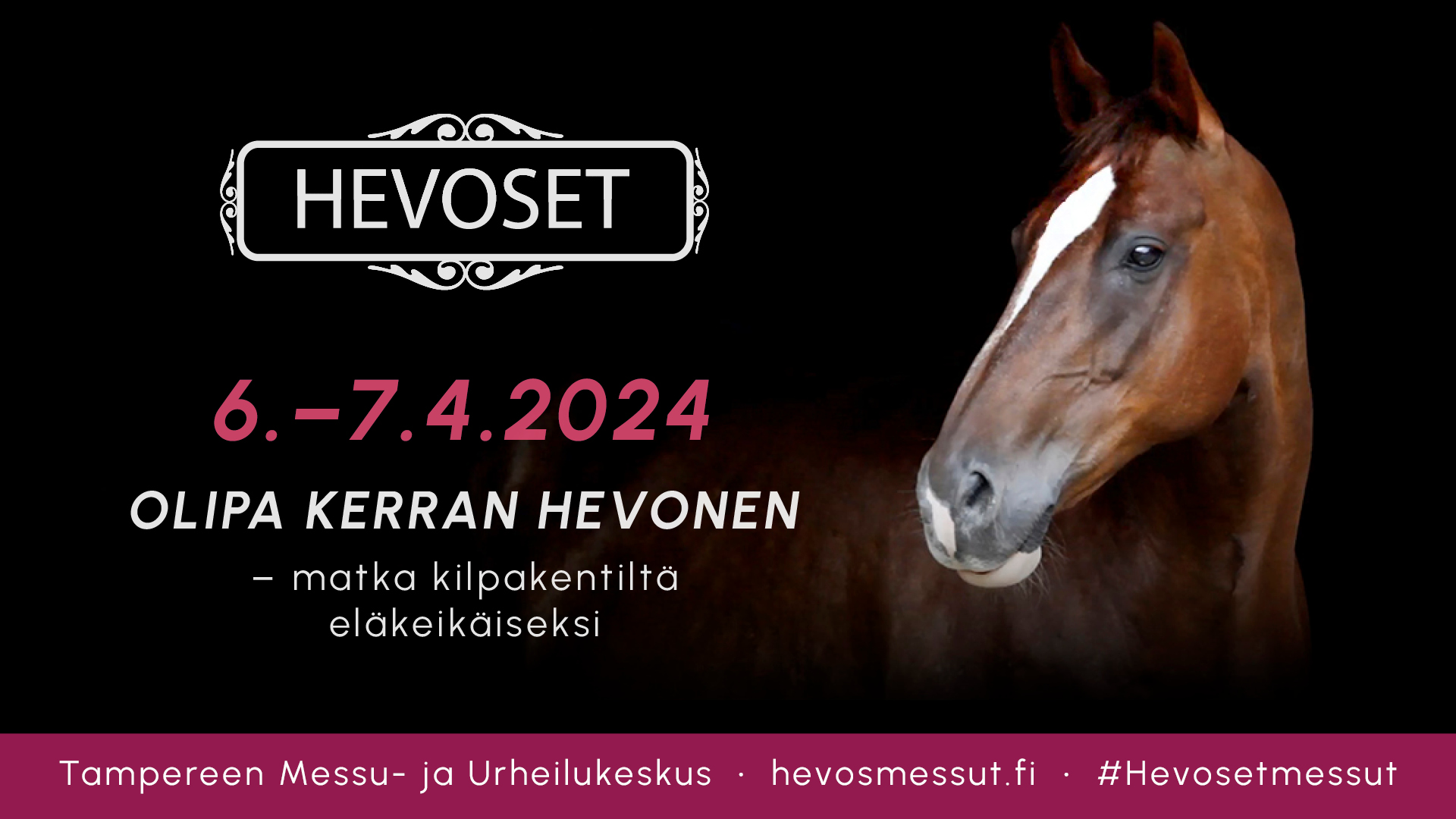 Hevoset24-1920x1080 5633